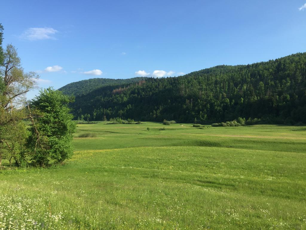 Zigon Nocleg ze śniadaniem Logatec